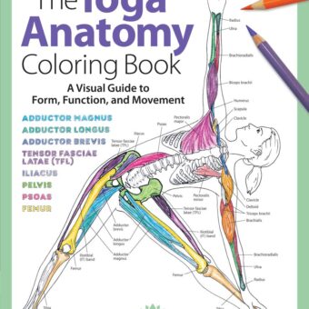 Yoga Anatomy Coloring Book: A Visual Guide to Form, Function, and Movement - An Educational Anatomy Coloring Book for Medical Students, Yoga ... & Adults (Volume 1) (Anatomy...