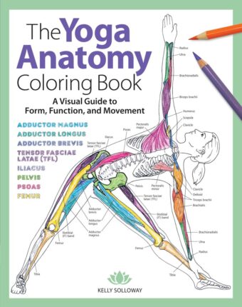 Yoga Anatomy Coloring Book: A Visual Guide to Form, Function, and Movement - An Educational Anatomy Coloring Book for Medical Students, Yoga ... & Adults (Volume 1) (Anatomy...